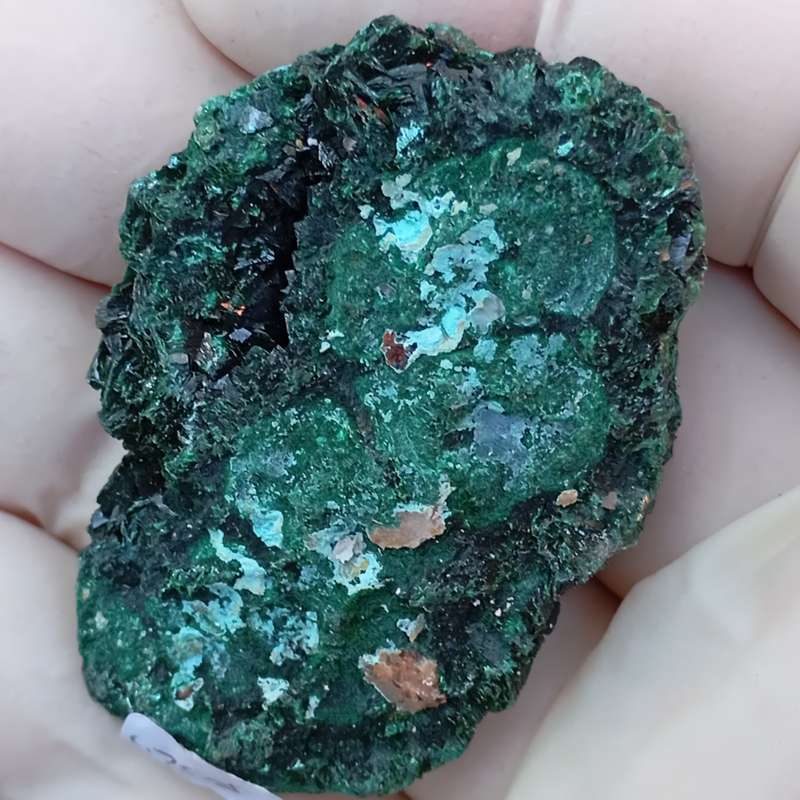 Malachite chrysocolla - Mashamba West mine DRC Congo