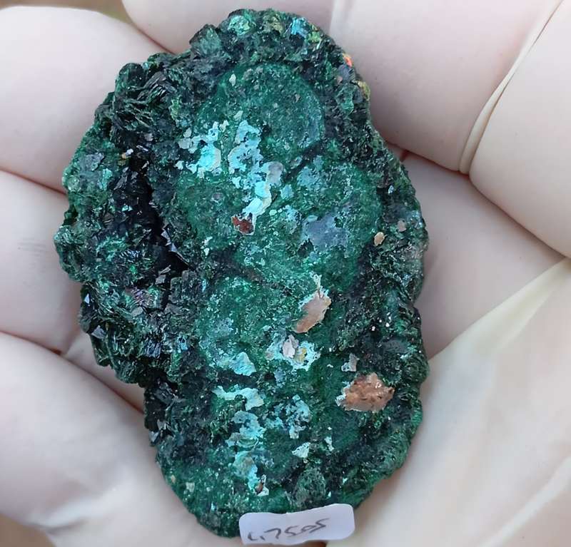 Malachite chrysocolla - Mashamba West mine DRC Congo