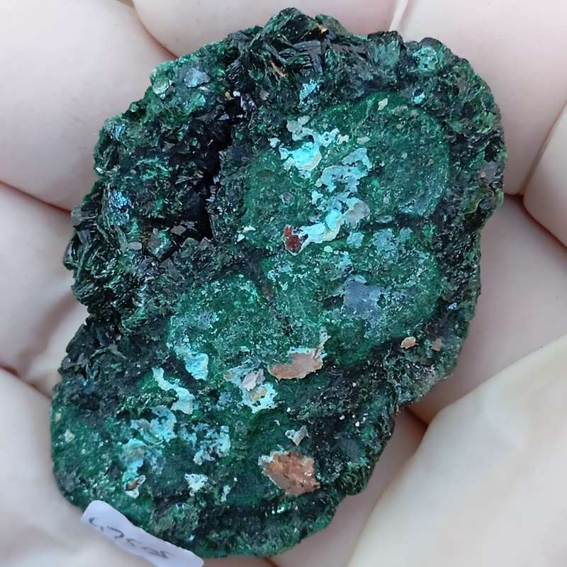 Malachite chrysocolla - Mashamba West mine DRC Congo