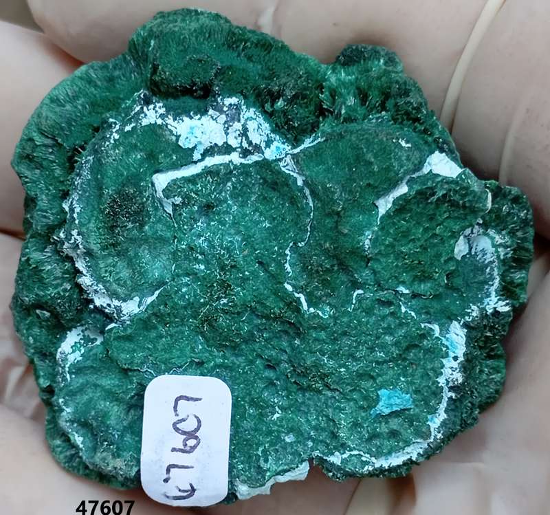 Malachite chrysocolla - Mashamba West mine DRC Congo