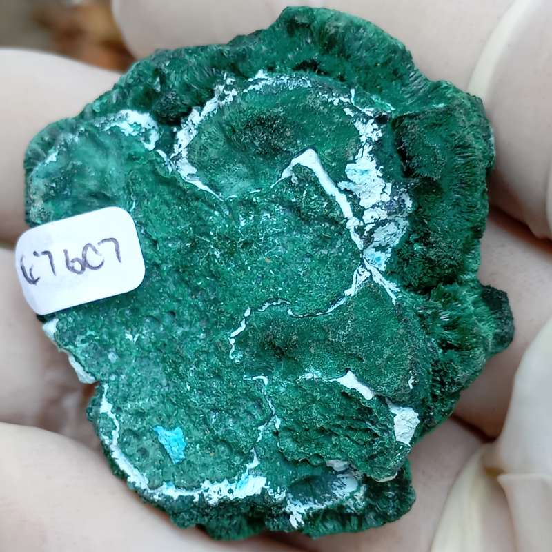 Malachite chrysocolla - Mashamba West mine DRC Congo