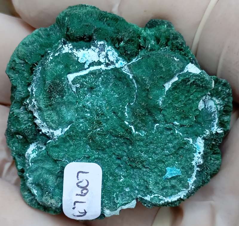 Malachite chrysocolla - Mashamba West mine DRC Congo
