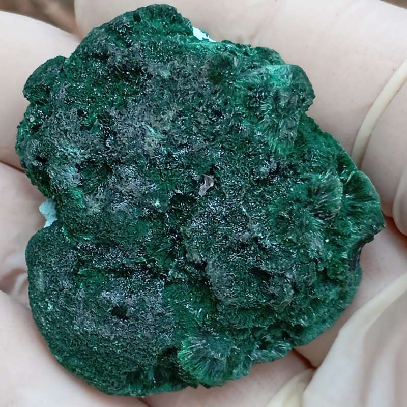 Malachite chrysocolla - Mashamba West mine DRC Congo