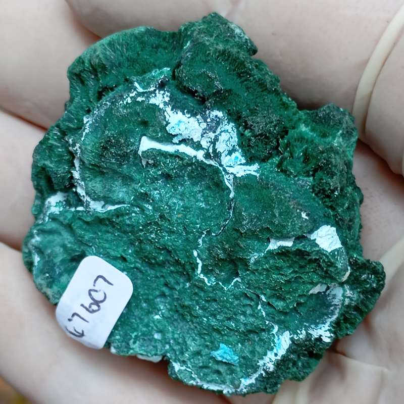 Malachite chrysocolla - Mashamba West mine DRC Congo