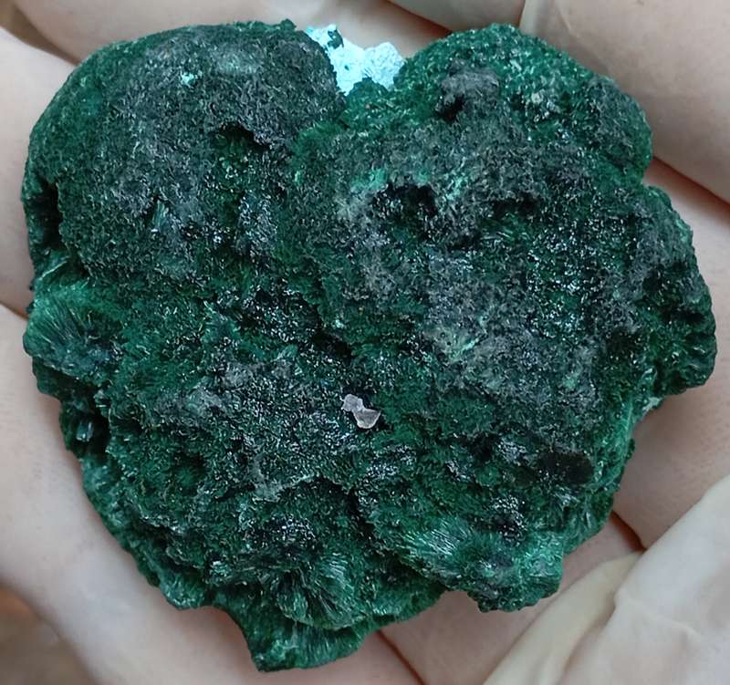 Malachite chrysocolla - Mashamba West mine DRC Congo