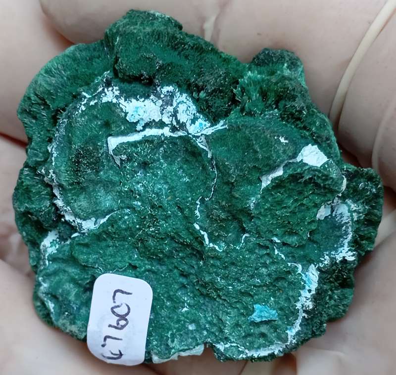 Malachite chrysocolla - Mashamba West mine DRC Congo