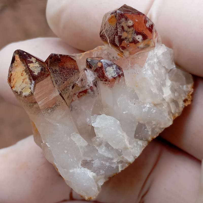 Hematite in quartz - Orange River N Cape South Africa