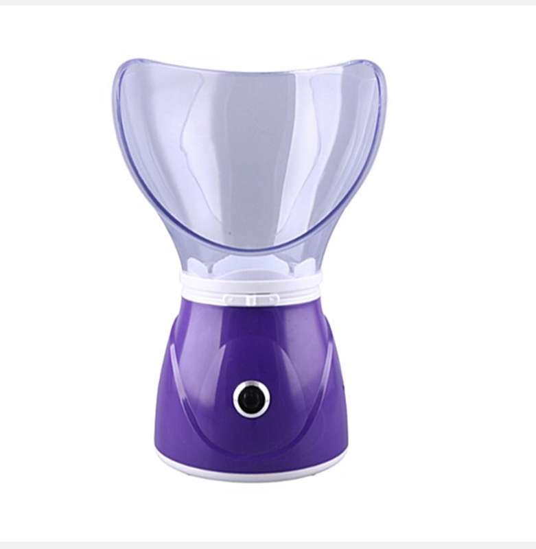 Professional face steamer