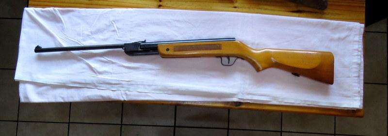 Air Rifle / Pellet Gun