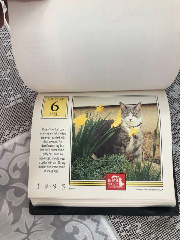 1995 Humane Society Cats Calender
