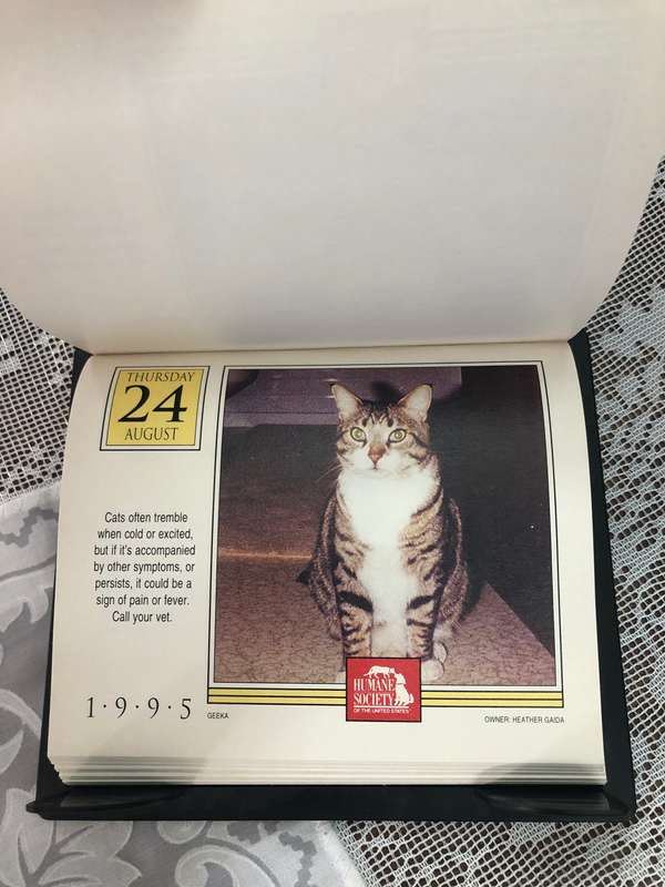 1995 Humane Society Cats Calender
