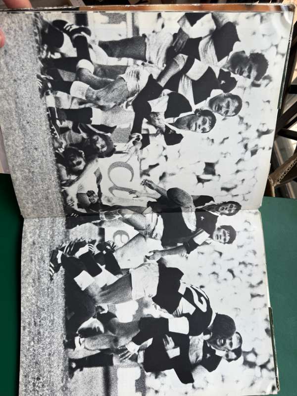 Rugby Book - Springbok Triumph