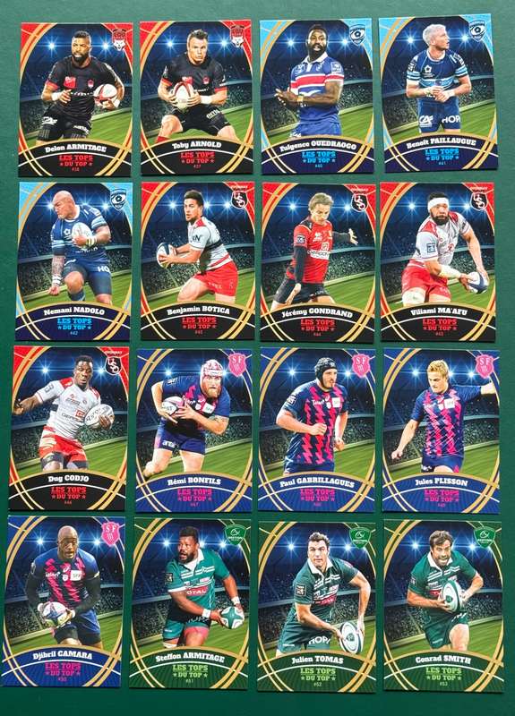 Rugby Cards - 2018 Panini French Top 14 Rugby Cards (67)