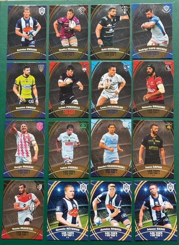 Rugby Cards - 2018 Panini French Top 14 Rugby Cards (67)