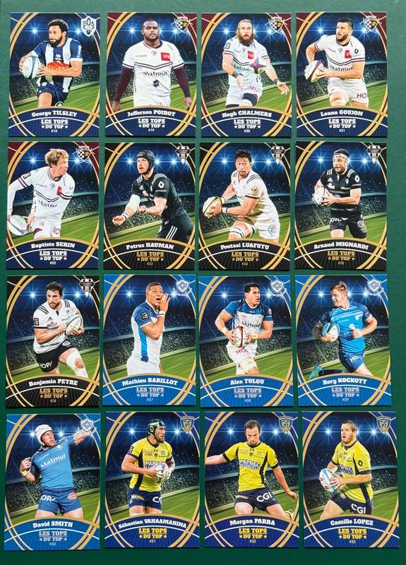 Rugby Cards - 2018 Panini French Top 14 Rugby Cards (67)