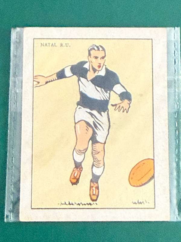 Rugby Card (1933) - Natal R.C (Nr36) South-African Rugby Clubs issued by Springbok Cigarettes