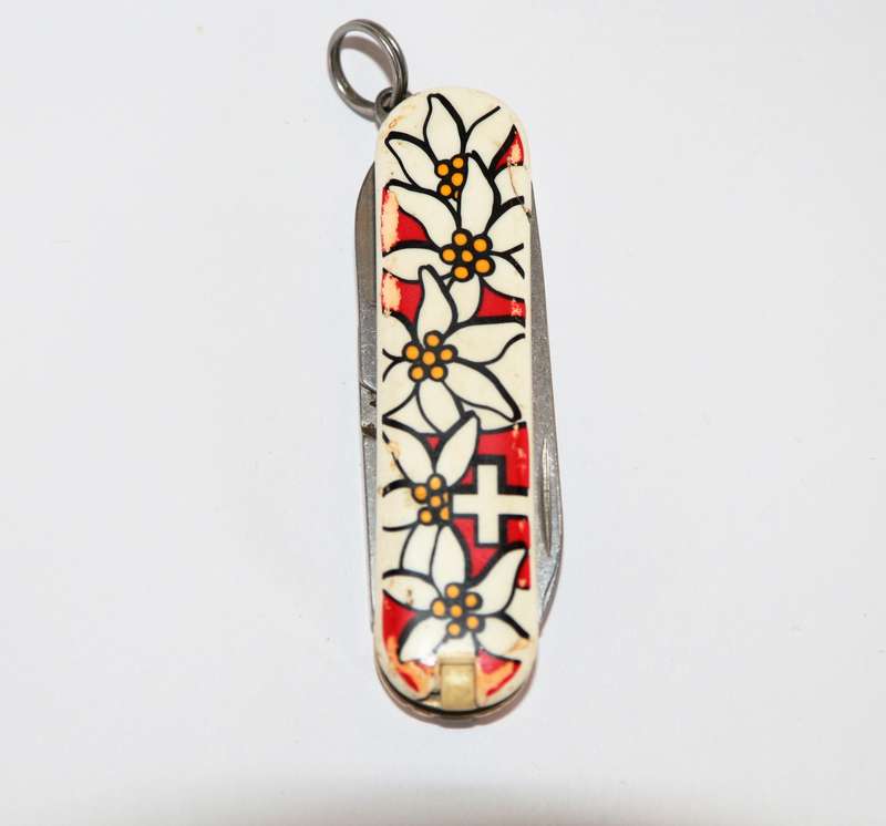 Victorinox - 58mm - Swiss Army Knife - (Classic SD Edelweiss)