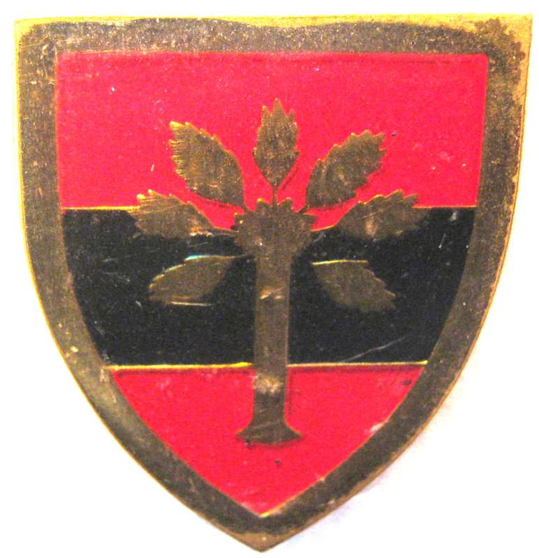FOB BADGE FOR OLD SADF SWA GENIE STEUNGROEP WITH PINS IN GOOD USED CONDITION