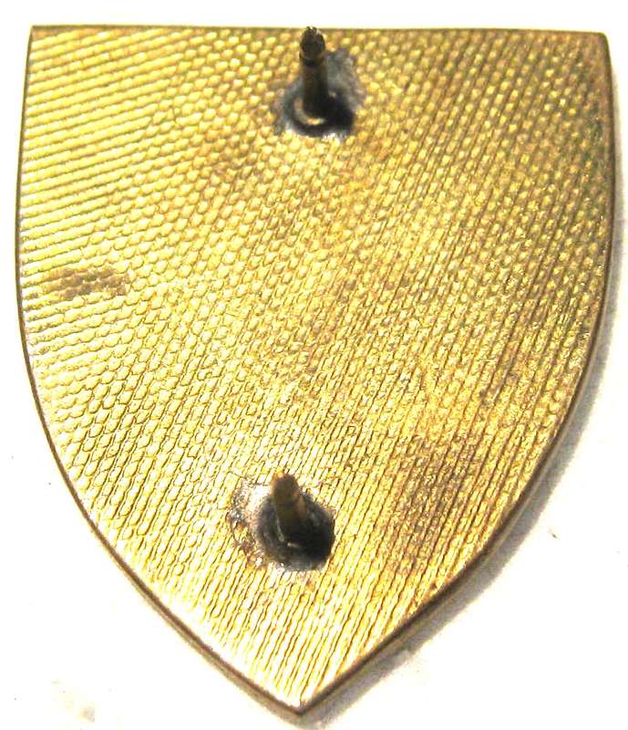 FOB BADGE FOR OLD SADF SWA GENIE STEUNGROEP WITH PINS IN GOOD USED CONDITION