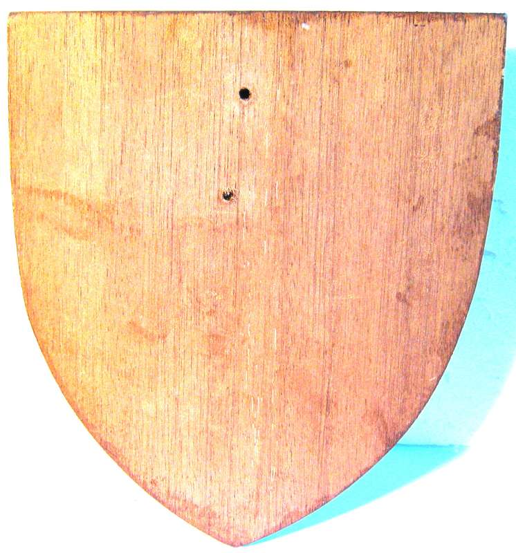 SAS JOHANNESBURG PLASTER BADGE MOUNTED ON WOOD 17 X 14 CM