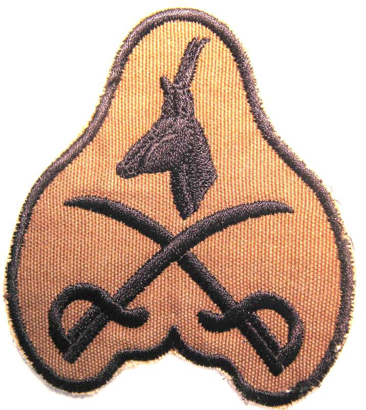 S.A. ARMY ASSISTANT PHYSICAL TRAINING ISTRUCTOR CLOTH PATCH - UNUSED