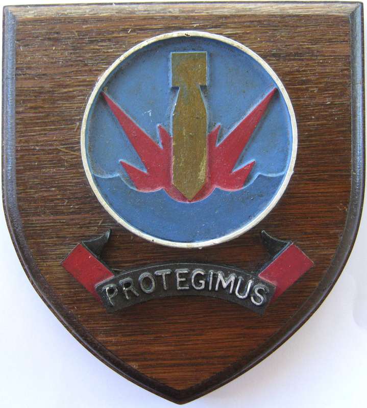 VERY SCARCE ORIGINAL SAAF 27 SQUADRON BADGE ON A SHIELD - CHANGED TO A SEAGULL FLYING OVER THE SEA