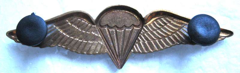 S.A. PARACHUTE BASIC WING 8 JUMPS OR MORE WITH LUCITE COVERING CENTRE  - WITH PINS GOOD CONDITION