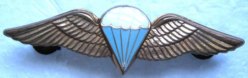 S.A. PARACHUTE BASIC WING 8 JUMPS OR MORE WITH LUCITE COVERING CENTRE  - WITH PINS GOOD CONDITION