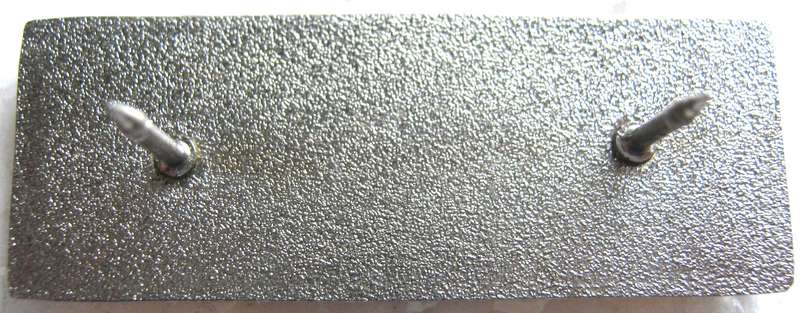 FINANCE SERVICES CORPS BERET BAR (BALKIE) WITH PINS IN GOOD CONDITION