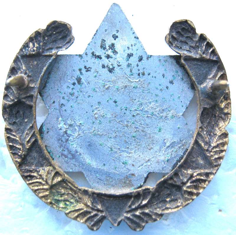 SADF JEWISH CHAPLAIN'S BI-METAL AND ENAMEL  COLLAR BADGE WITH PINS IN UNUSED CONDITION