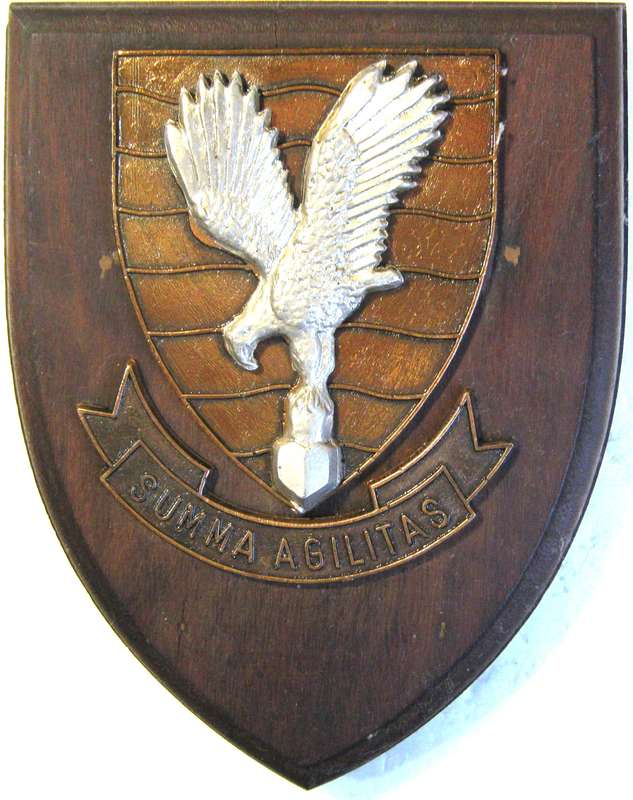 SAAF 30 SQUADRON METAL BADGE ON WOODEN SHIELD 16 X 12 CM IN GOOD USED CONDITION