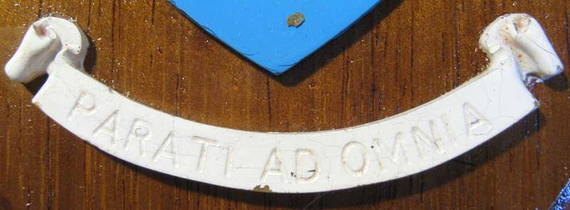 SAAF SOUTHERN AIR COMMAND BADGE ON WOODEN SHIELD IN GOOD CONDITION