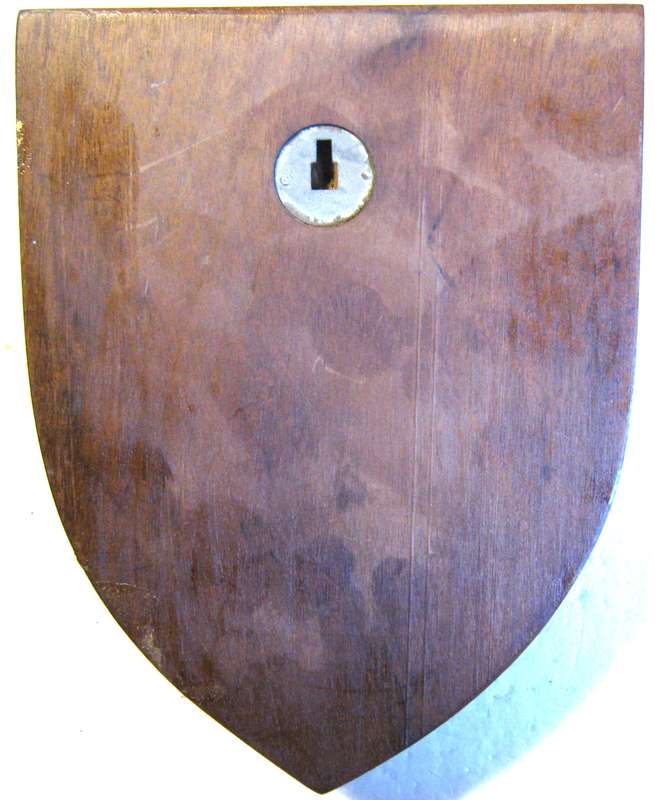 SAS SALDANHA RESIN BADGE ON WOODEN SHIELD 18 X 13 CM  IN GOOD USED CONDITION