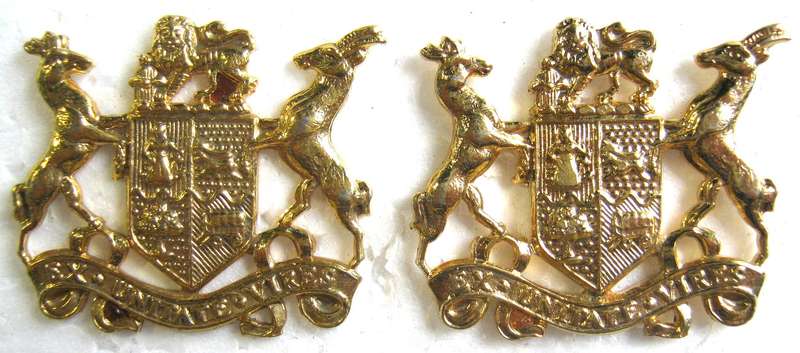 S.A.D.F. ARMY PAIR OF WARRANT OFFICER CLASS 2 GILDING METAL RANK BADGES IN VERY GOOD CONDITION