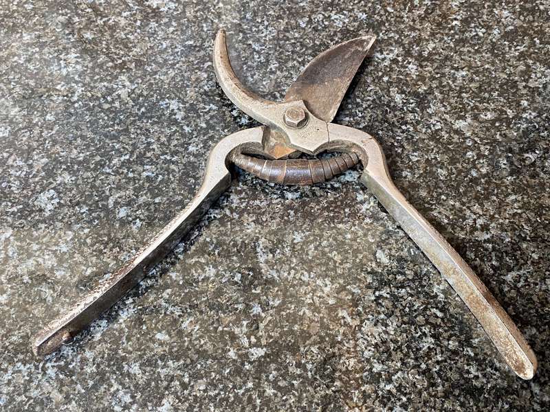 Vintage pruning garden shears iron, rare, collectors item from Germany,ChromNickel Garantie Stahl