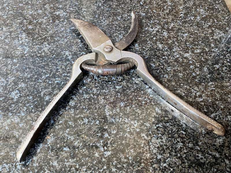 Vintage pruning garden shears iron, rare, collectors item from Germany,ChromNickel Garantie Stahl