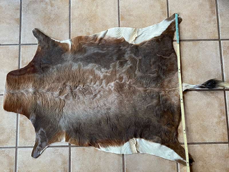 animal skin blesbok , approx.size:  100cm x 120cm