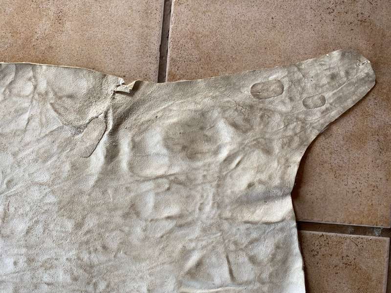 animal skin blesbok , approx.size:  100cm x 120cm