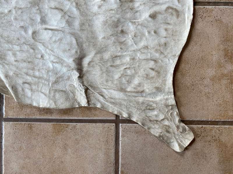animal skin blesbok , approx.size:  100cm x 120cm