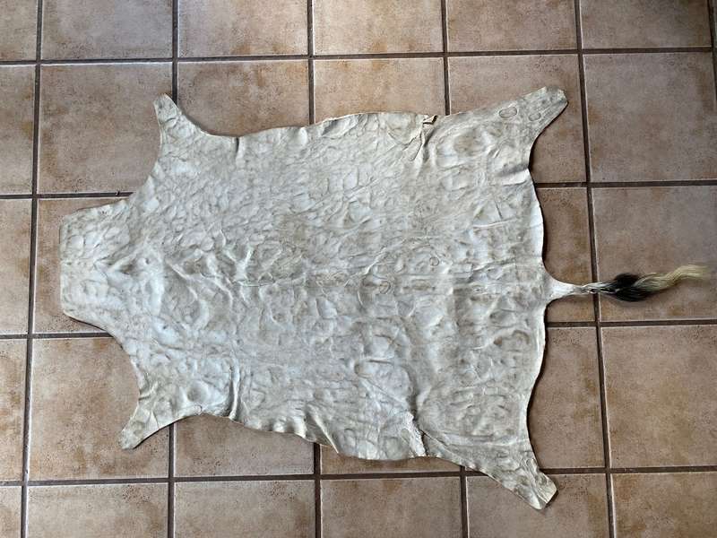 animal skin blesbok , approx.size:  100cm x 120cm