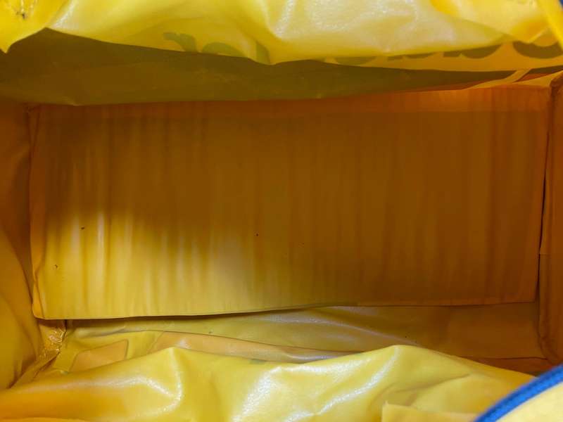 Kodak Bag Kodacolor Gold 100 ,collectors item,vintage,rare,retro, 80s, 35mm Film, zips are ok