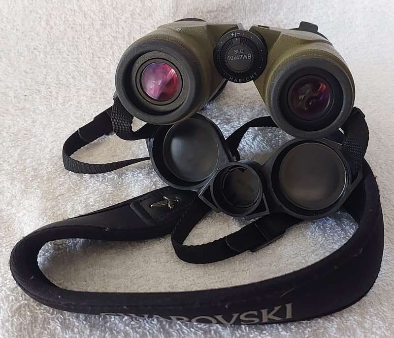 Binoculars Swarovski SLC 10x42 WB