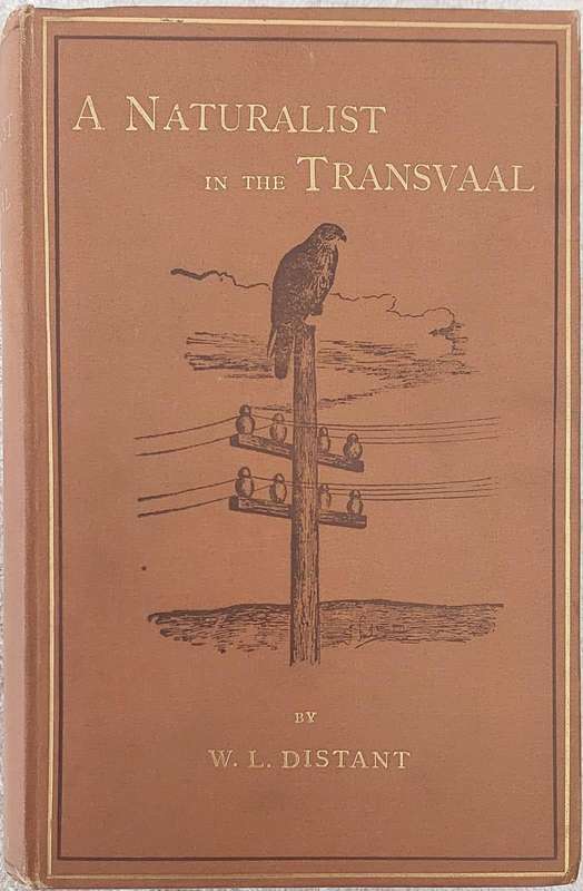 A Naturalist in the Transvaal by W.L. Distant