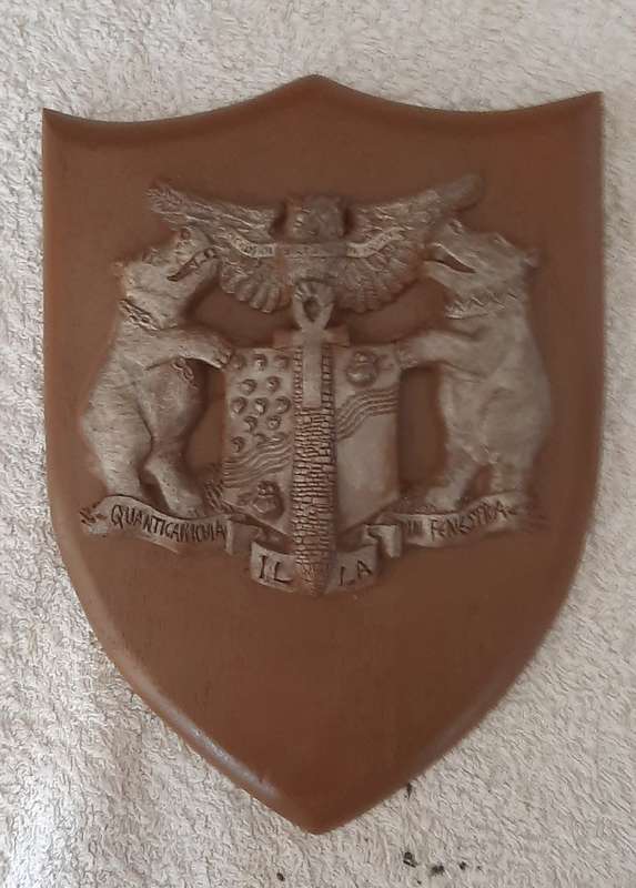 Discworld Sheild