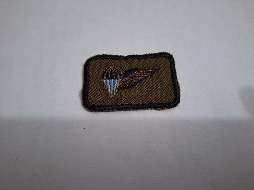 SWA Territorial Force Parachute instructor wing badge