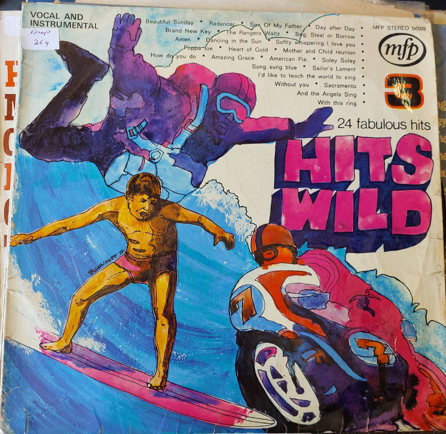 Hits Wild 3