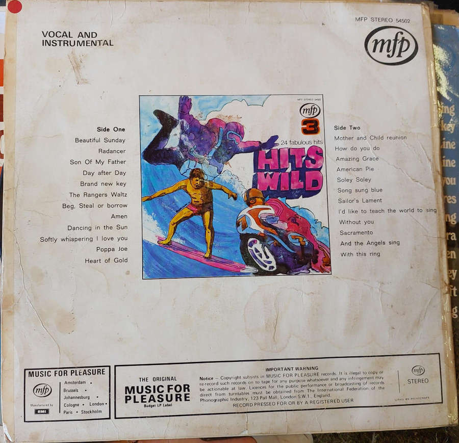 Hits Wild 3