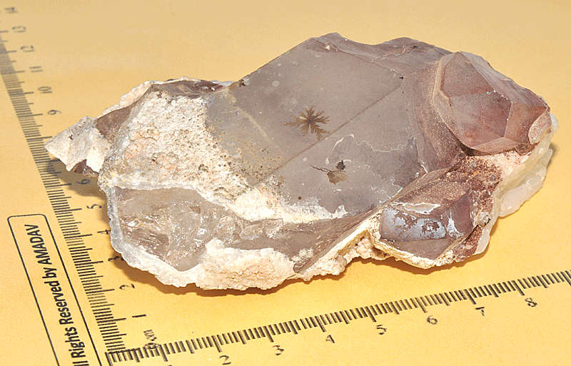 *** Rare *** Quarts with plant material in crystal (264g)