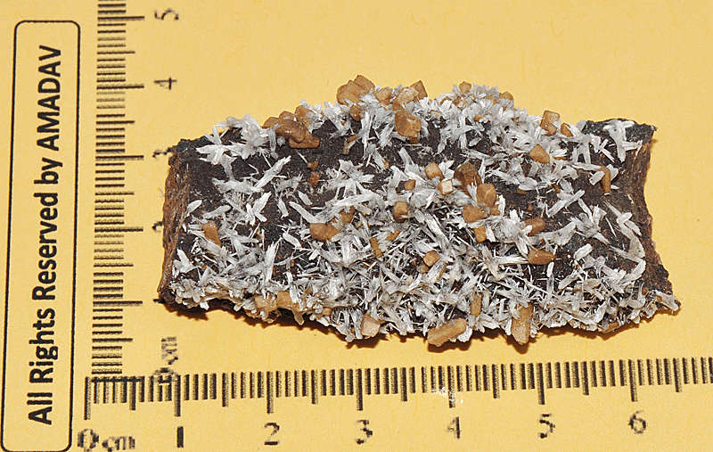 *** VERY VERY Rare *** Bultfonteinite (60g)