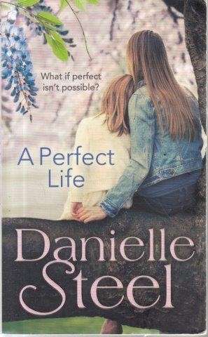 A Perfect Life - Steel, Danielle
